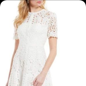 Antonio Melani High Neck Lace Dress